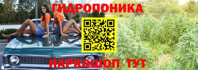 спайс Абакан