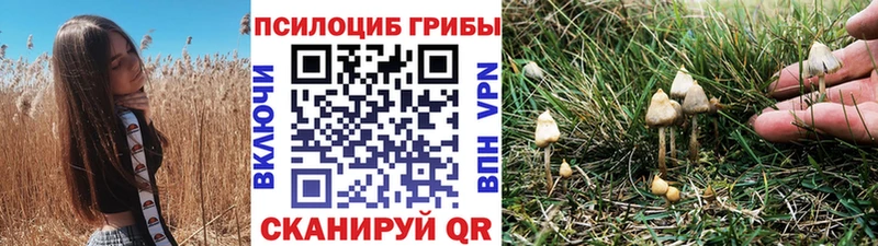 Галлюциногенные грибы мухоморы  Дедовск 