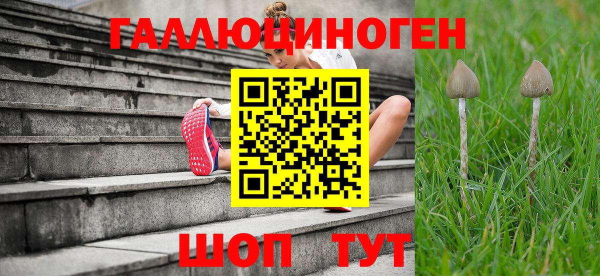 Псилоцибиновые грибы GOLDEN TEACHER Дедовск