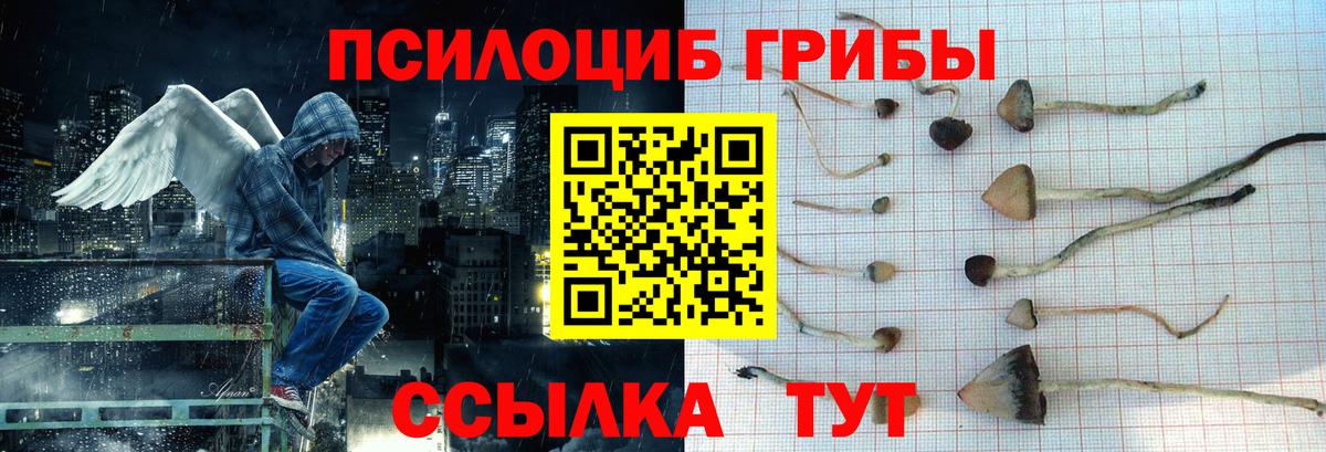 Галлюциногенные грибы ЛСД  Вход с VPN  Дедовск 