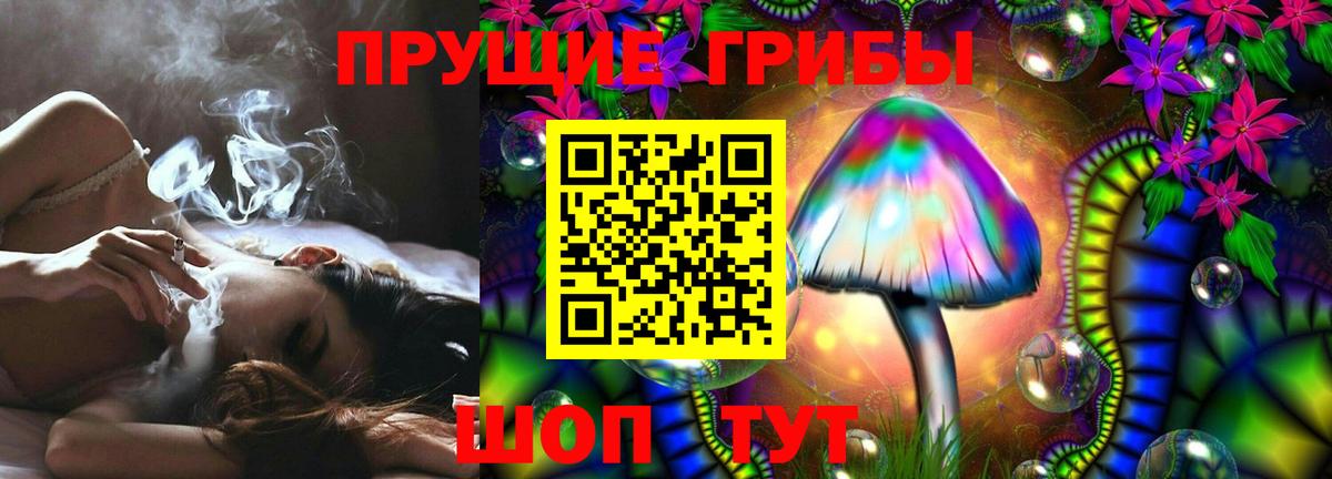 Галлюциногенные грибы Psilocybine cubensis  Дедовск 